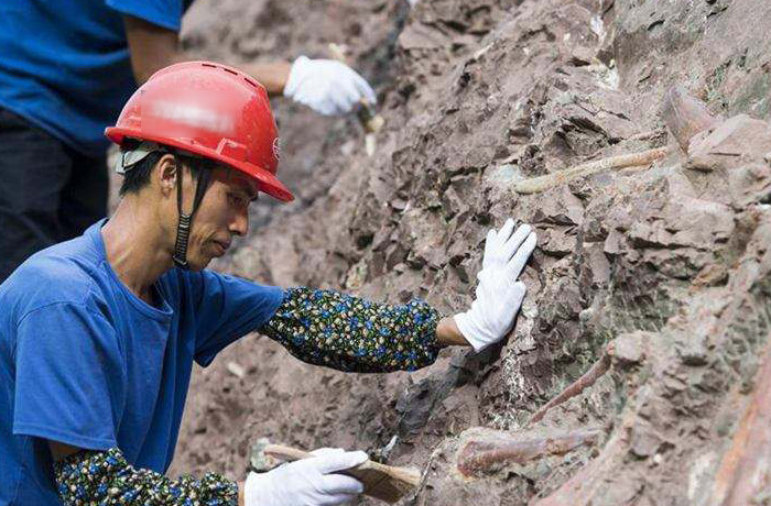 20191211100049_37584