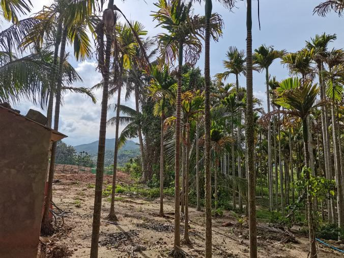 ut88.com(中国区)-官网