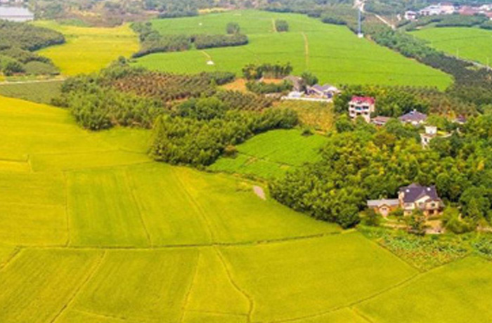 20220422093522_56639