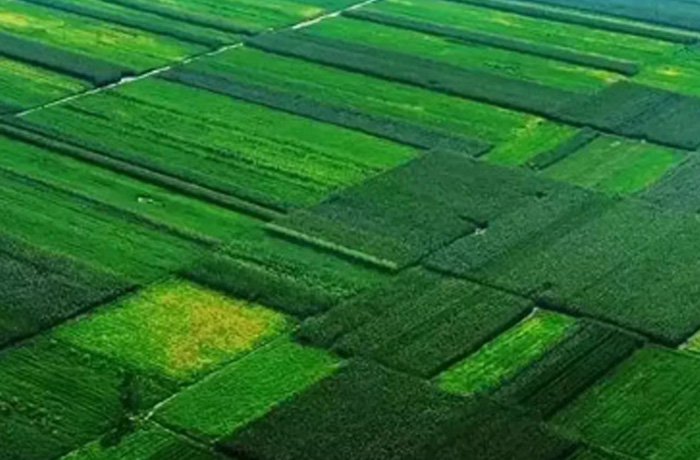 20221121091124_91965