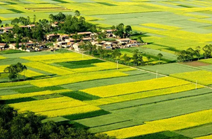 20221215111508_32513