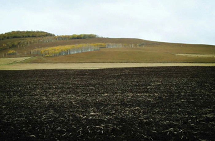 20221215112334_24932