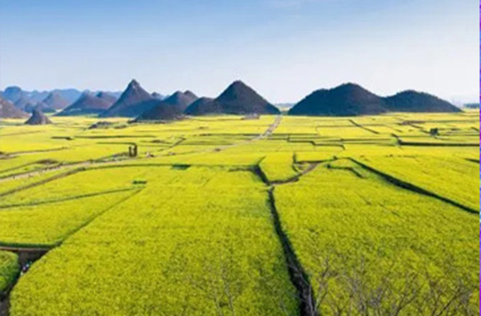 20230322092506_96721