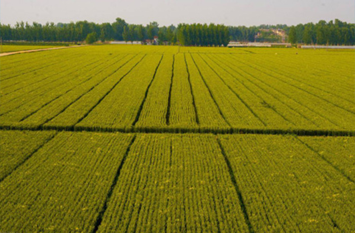 20230720084049_27887