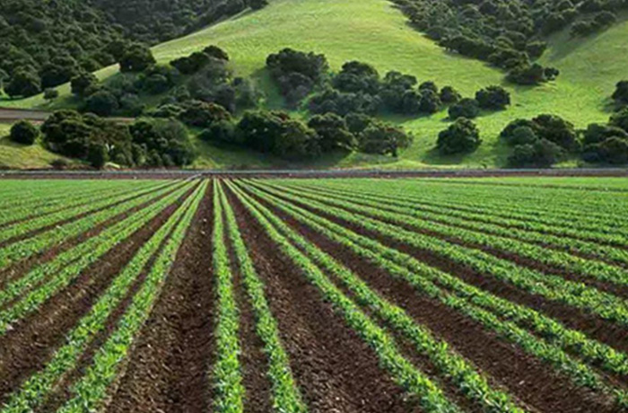 20230919085033_54275