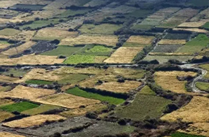 20240119085920_12360