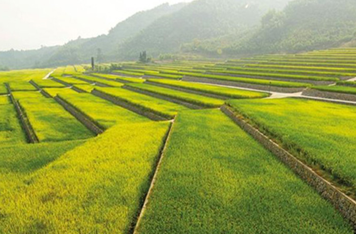 20240411102859_52436