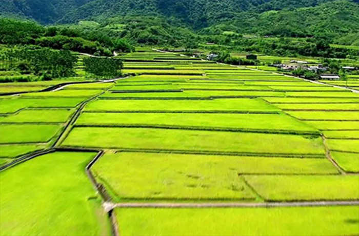 20240719143138_96272