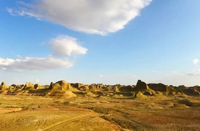 20250625145610_75328